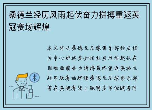桑德兰经历风雨起伏奋力拼搏重返英冠赛场辉煌
